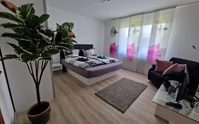 Ferienwohnung Starennest Mit Direktem Harzblick